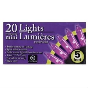 Mini Purple 20ct Halloween Lights 5’ NWT
